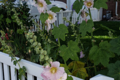 20190629_080902