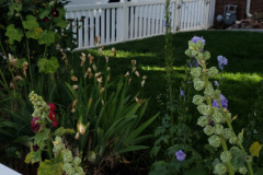 20190629_080906