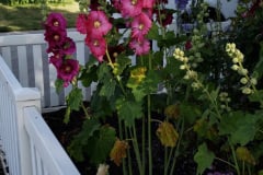 20190629_080915