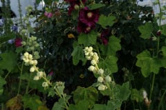 20190629_080920