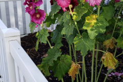 20190629_080932