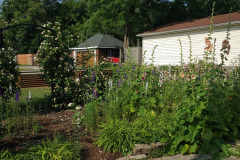 Hollyhock-Flower-Garden-June-2023-14