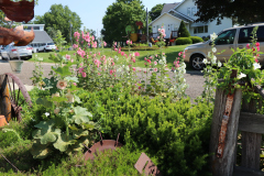Hollyhocks-Broadmoor-Trip-2020-32