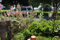 Hollyhocks-Broadmoor-Trip-2020-33