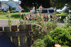 Hollyhocks-Broadmoor-Trip-2020-34