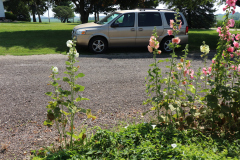 Hollyhocks-Broadmoor-Trip-2020-38