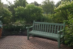 Hydrangeas-Minnetrista-July-2023-1
