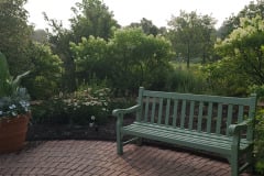 Hydrangeas-Minnetrista-July-2023-2