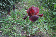 5-30-09-014