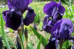 april-13-012
