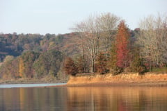 Fall-Trees-on-Monroe-Lake-10