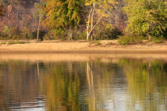 Fall-Trees-on-Monroe-Lake-12