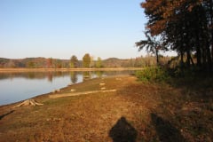 Fall-Trees-on-Monroe-Lake-4