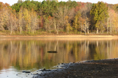 Fall-Trees-on-Monroe-Lake-5