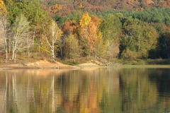 Fall-Trees-on-Monroe-Lake-6