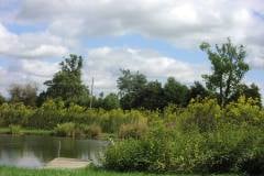 Lampbert Pond & flower Gardens
