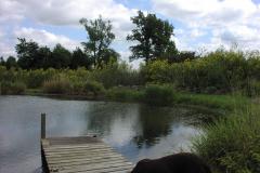 Lampbert Pond & flower Gardens