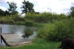 Lampbert Pond & flower Gardens