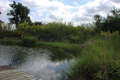 Lampbert Pond & flower Gardens
