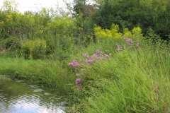 Lampbert Pond & flower Gardens