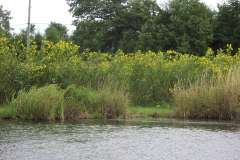 Lampbert Pond & flower Gardens