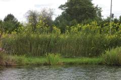 Lampbert Pond & flower Gardens