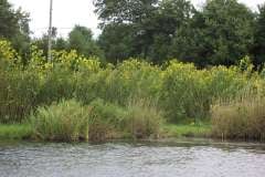 Lampbert Pond & flower Gardens