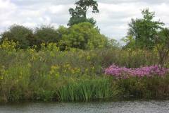 Lampbert Pond & flower Gardens