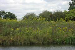 Lampbert Pond & flower Gardens
