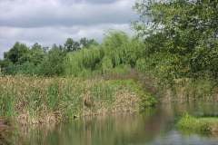 Lampbert Pond & flower Gardens