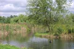 Lampbert Pond & flower Gardens