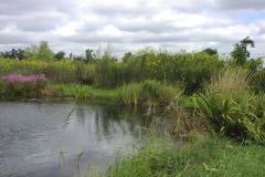 Lampbert Pond & flower Gardens