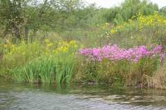 Lampbert Pond & flower Gardens