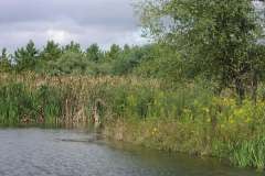 Lampbert Pond & flower Gardens
