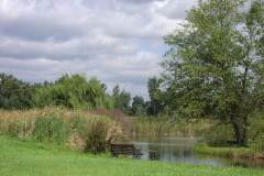 Lampbert Pond & flower Gardens