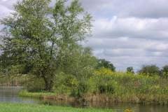 Lampbert Pond & flower Gardens