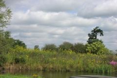 Lampbert Pond & flower Gardens