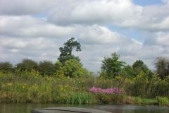 Lampbert Pond & flower Gardens