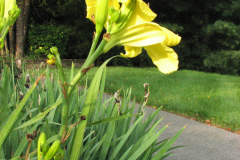 053