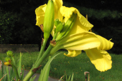 055