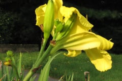 055