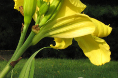 056