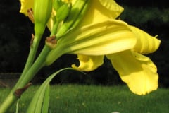 056