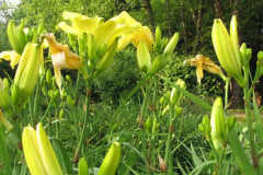 057