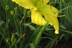 060