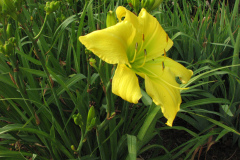 061