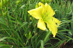 062