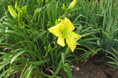 063