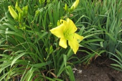 063