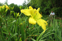 067